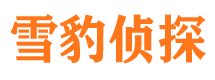 爱辉市调查公司